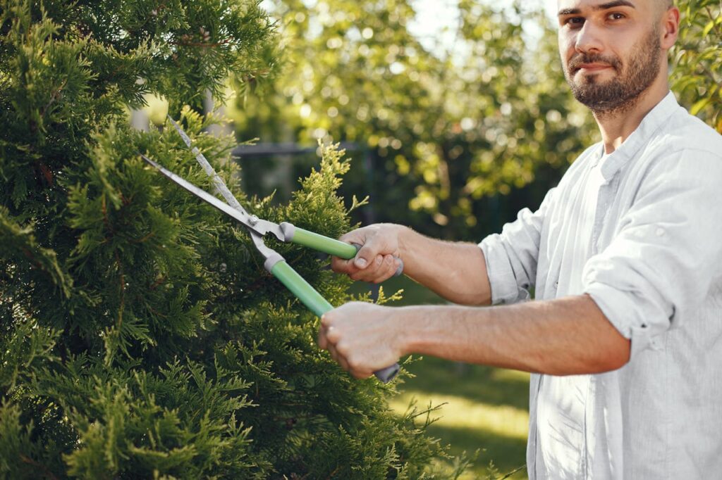 Saskatoon arborists