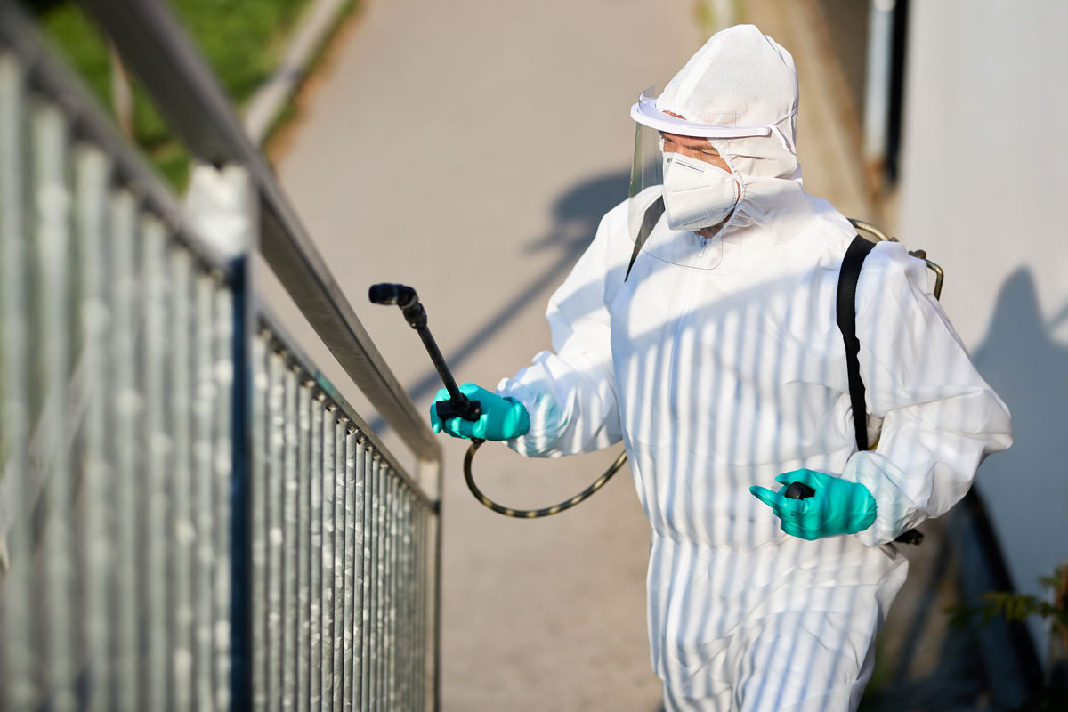 pest control service